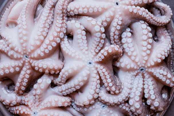 Fresh raw octopus on a large platter. Concept - healthy food - Фото, изображение