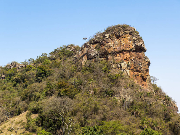 Camelo de mening van de kant van de berg van de rots in een zonnige dag - Foto, afbeelding