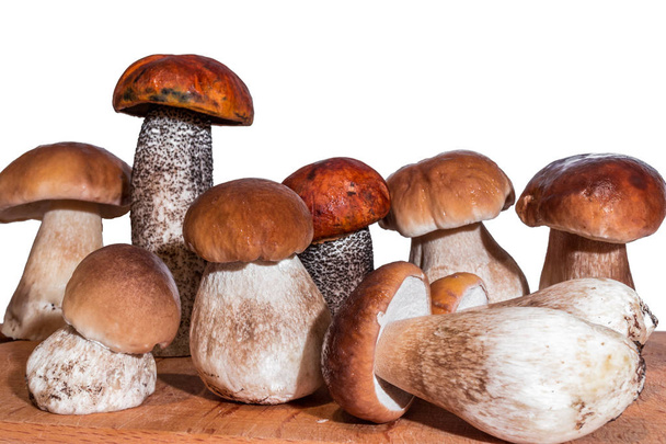 seven mushrooms boletus and two red-capped scaber stalk stand on a wooden board - Fotografie, Obrázek
