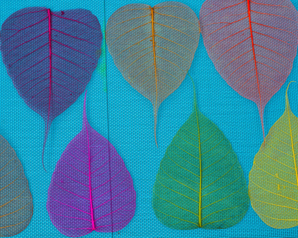 objetos de arte de folhas textura
 - Foto, Imagem