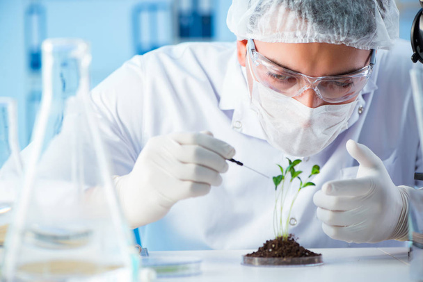 Biotechnology concept with scientist in lab - Photo, Image