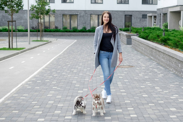 Young attractive women walking with two husky puppy on the street - Foto, Imagem