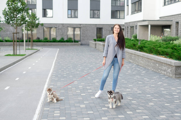 Young attractive women walking with two husky puppy on the street - Zdjęcie, obraz