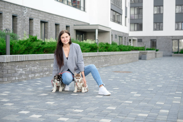 Young attractive women walking with two husky puppy on the street - Foto, Imagem