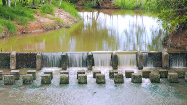 Συνεχής νερό κίνημα σκηνή του weir ή φράγμα να επιβραδύνει τη ροή του νερού στον ποταμό. Υπάρχουν φρέσκα πρασίνου στην Ταϊλάνδη. - Πλάνα, βίντεο