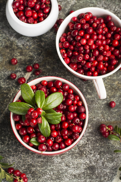 Fresh cranberry or cowberry, lingonberry top view - 写真・画像