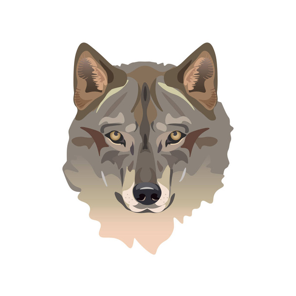 Вектор головы волка
 - Вектор,изображение