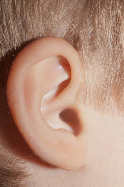 Human ear, body parts, anatomy, close-up, - Фото, зображення