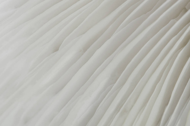 абстрактное фоновое макроизображение гриба Саджор-каджу
 - Фото, изображение