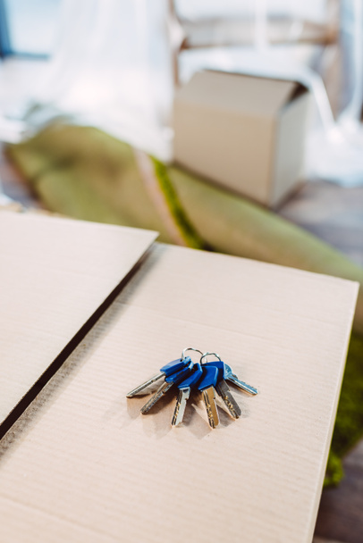 keys on cardboard box - Foto, Imagem