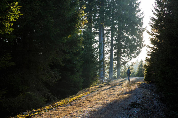 Femme randonneur marchant sur une route de montagne, le soleil brille
  - Photo, image