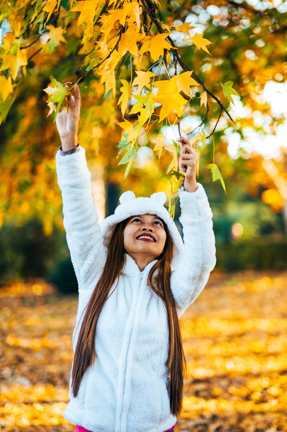 Happy young beautiful woman in autumn park on sunny day picking leaves from the tree, Young woman in white coat during sunset in the park - Photo, Image