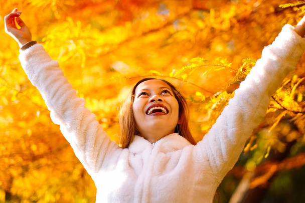 Happy young beautiful woman in autumn park on sunny day, Young woman in white coat during sunset in the park - Photo, Image