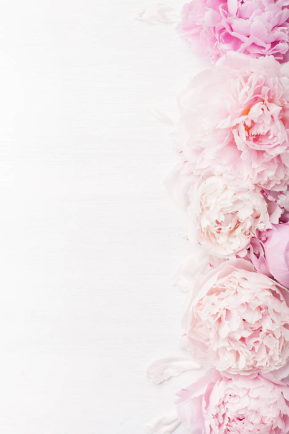 bonito rosa peônia flor fundo - Foto, Imagem