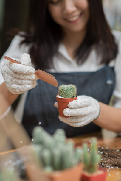 Portrait young Asian girl planting little cactus in a pot - Photo, Image