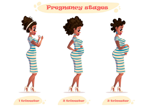 stádiích těhotenství, vektorové ilustrace těhotná Černoška. afroamerické těhotná žena. Změny v těle ženy v těhotenství. Stádiích těhotenství, 3 trimestru. Kreslené postavičky - Vektor, obrázek