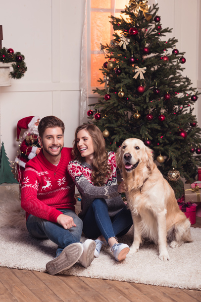 пара с собакой на Рождество
 - Фото, изображение