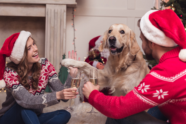 couple drinking champagne at christmastime - Foto, Imagen