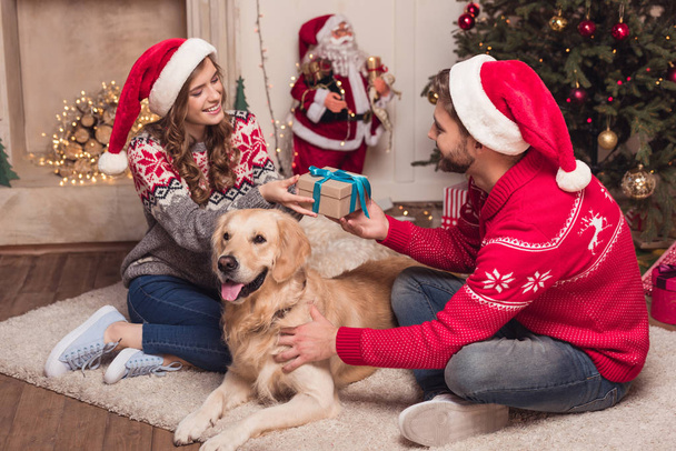 Pár v Santa klobouky se psem - Fotografie, Obrázek