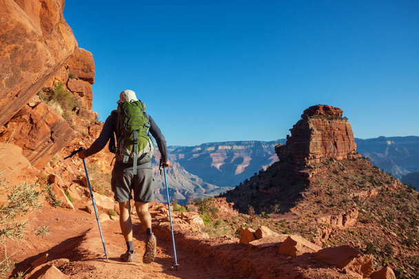 Escursionista nel Grand Canyon
 - Foto, immagini