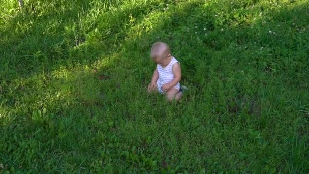 małe dziecko siedzi w trawie spokojnie - Materiał filmowy, wideo