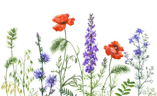Watercolor wild flowers border - Foto, imagen