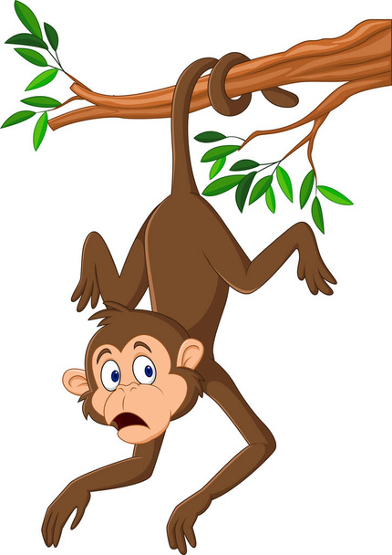 Karikatur-Affe hängt mit Schwanz am Ast - Vektor, Bild