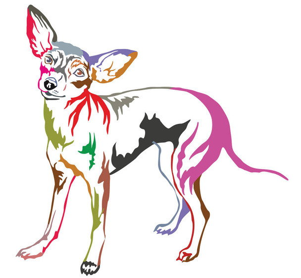 Värikäs koriste pysyvän muotokuva koira Praha Ratter vekto
 - Vektori, kuva