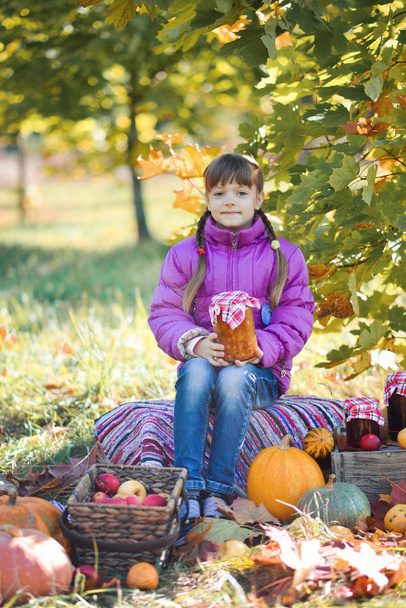 little girl in the garden with a basket of apples and jam - Фото, изображение