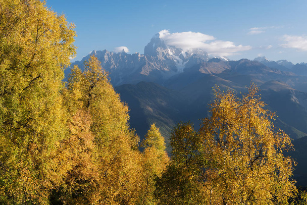 Осенний пейзаж с березовым лесом и горным хребтом
 - Фото, изображение