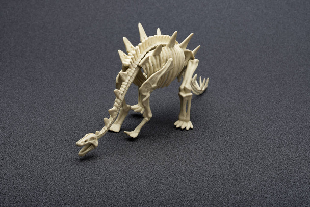 Stegosaurus skelet op een donkere achtergrond - Foto, afbeelding
