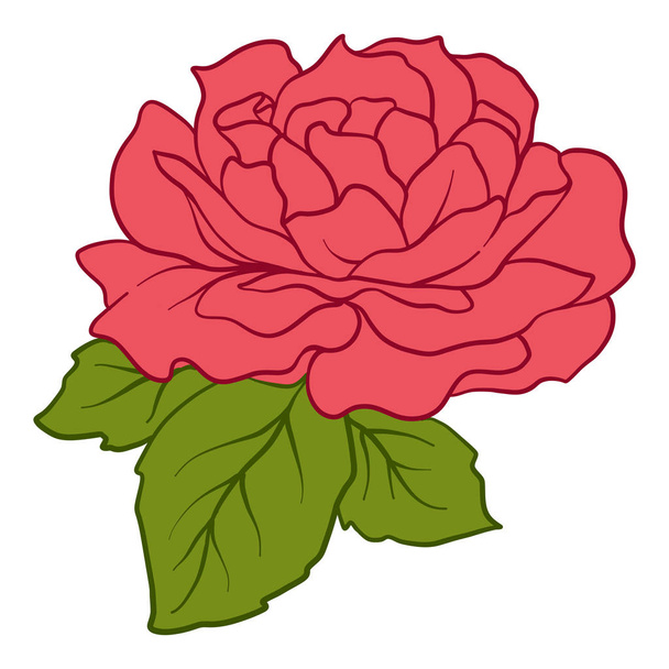 Isolated red rose with green leaves. Stock line vector illustrat - Vetor, Imagem