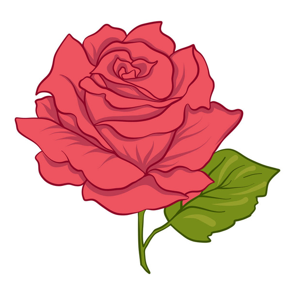 Isolated red rose with green leaves. Stock line vector illustrat - Vektor, kép