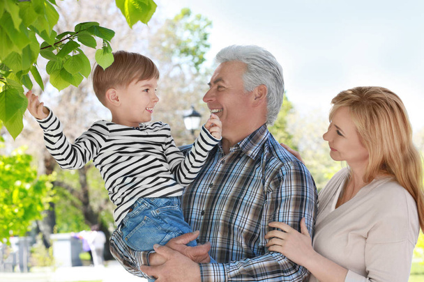 Schattige gelukkige jongen met grootouders in voorjaar park op zonnige dag - Foto, afbeelding