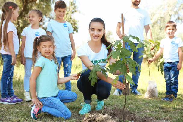 Young volunteers with children planting tree in park - Photo, image
