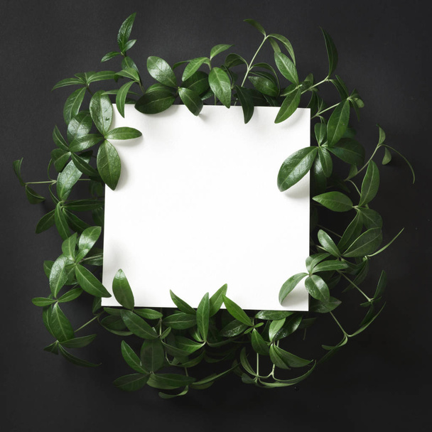 Creative layout made of green leaves with empty blank for note  on black background. Top view. Nature concept. - Photo, image