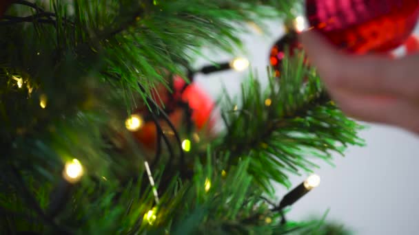 hand decorating christmas tree with ball - Filmagem, Vídeo