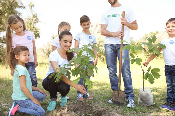 Young volunteers with children planting tree in park - Fotoğraf, Görsel