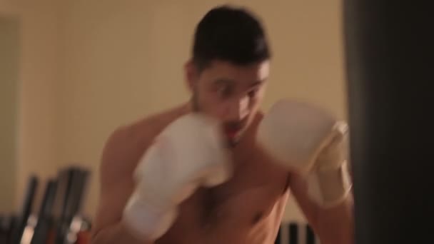 Boxer training with punching bag - Filmmaterial, Video