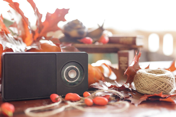 odbiornik radiowy retro na piękną jesień Martwa natura. Figurka sn - Zdjęcie, obraz