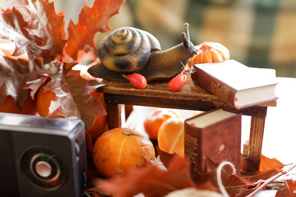 Retro rozhlasový přijímač na zátiší krásný podzim. figurka sn - Fotografie, Obrázek