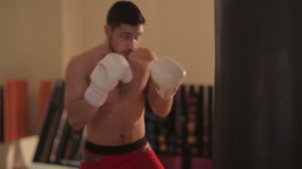 Boxer training with punching bag - Кадри, відео