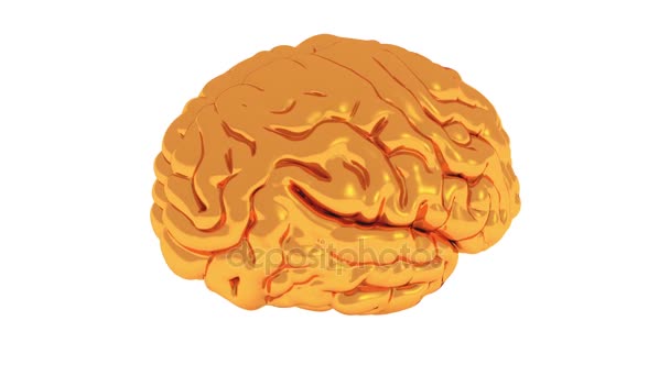 Modelo de cérebro dourado rotativo 4k, inteligência artificial
. - Filmagem, Vídeo