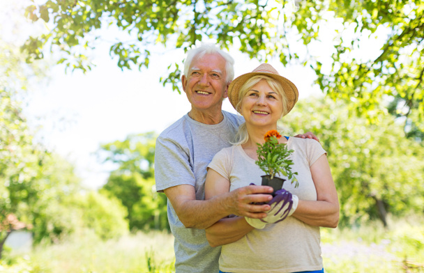 Senior couple gardening - Zdjęcie, obraz