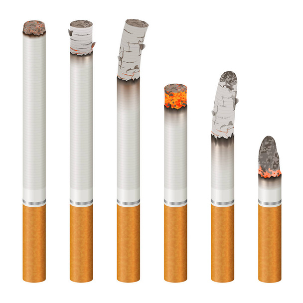 Gerçekçi sigara yanık aşamalarında ayarla  - Vektör, Görsel