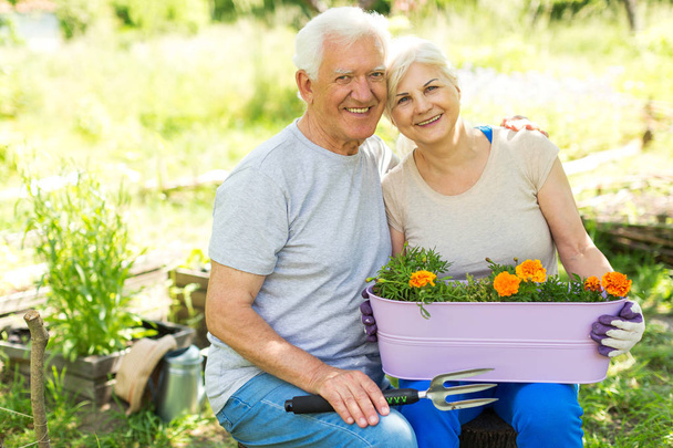 Senior couple gardening - Photo, Image