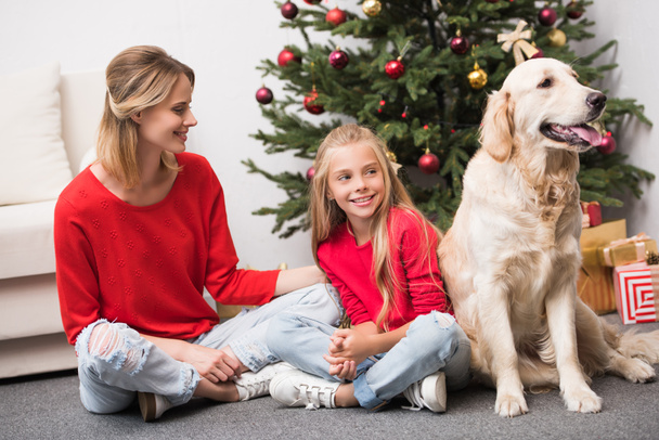 mother, daughter and dog at christmas tree - Valokuva, kuva