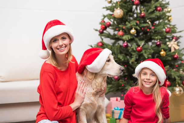 famille avec chien dans chapeaux de Père Noël
 - Photo, image