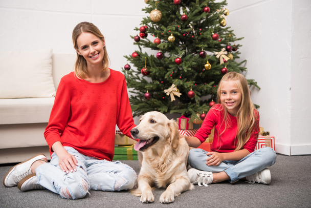 Сім'я з собакою на Різдво - Фото, зображення
