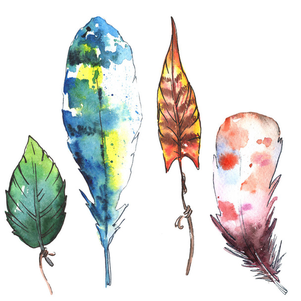 Watercolor feather for background - Φωτογραφία, εικόνα